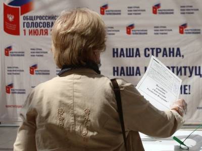 Накануне флешмоба против поправок в Конституцию задерживают петербургских активистов