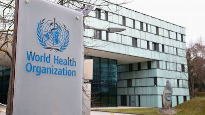 В ВОЗ обещают изучить исследование о новом типе свиного гриппа