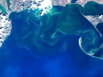 У берегов Одессы море поменяло свой цвет