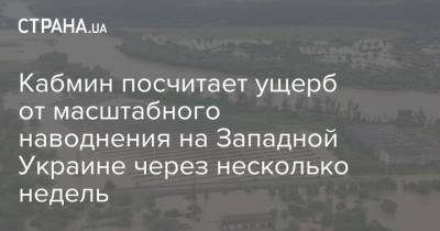 Кабмин посчитает ущерб от масштабного наводнения на Западной Украине через несколько недель