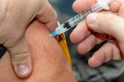 В России три прототипа вакцина от коронавируса успешно прошли первые испытания