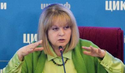 Элла Памфилова пообещала защитить пожаловавшихся на принуждение к голосованию