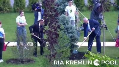 Путин и Лукашенко посадили ели подо Ржевом в память о погибших в войне