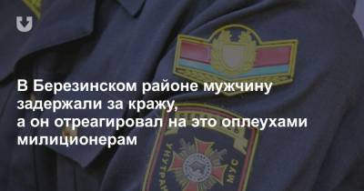 В Березинском районе мужчину задержали за кражу, а он отреагировал на это оплеухами милиционерам