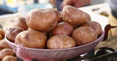 В Украине существенно подешевела молодая картошка