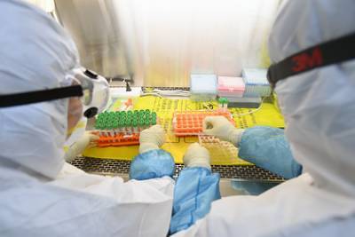 Вирусолог из лаборатории Уханя предупредила о новых вспышках коронавируса - lenta.ru - Ухань