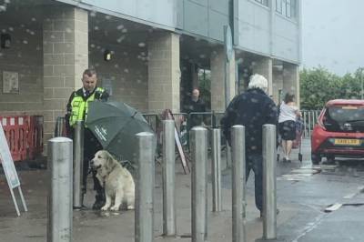 Охранник магазина в Шотландии держал зонтик над собакой, пока та ждала хозяина под дождем