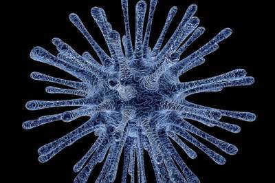 Вирусолог назвал слабое место нового штамма свиного гриппа