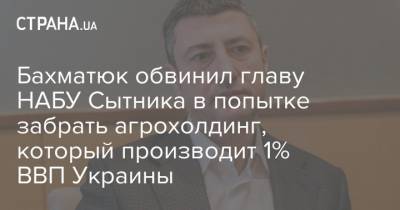 Бахматюк обвинил главу НАБУ Сытника в попытке забрать агрохолдинг, который производит 1% ВВП Украины