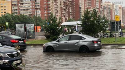 ФАН публикует видео шторма в Петербурге