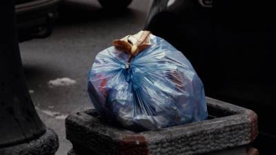 На жалобу петербуржца о мусоре на Южном шоссе пообещали отреагировать в течение пяти лет