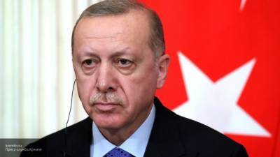 Турецкая партия назвала политику Эрдогана в Сирии и Ливии оккупационной