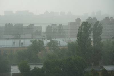 Воронежские спасатели предупредили о грозах, дождях и граде в первый день июля