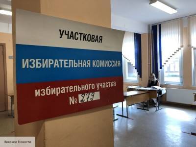 Иностранные наблюдатели следят за голосованием в Петербурге
