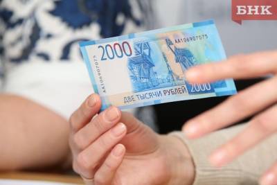 Покупатель семечек во Владимирской области вывел полицию Коми на сбытчиков фальшивых денег