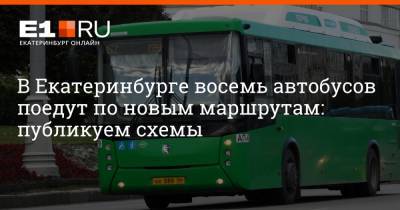 В Екатеринбурге восемь автобусов поедут по новым маршрутам: публикуем схемы