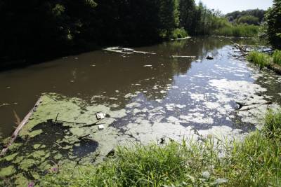Начался процесс очистки малой реки в районе Пушкино