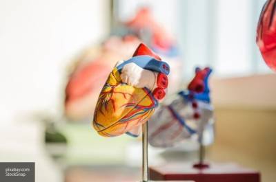 Британские ученые создали новый клапан для сердца