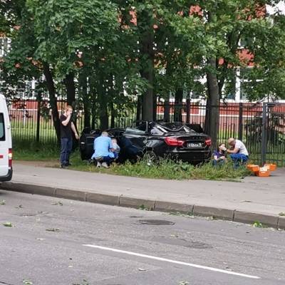 4 человека пострадали в Петербурге при падении дерева на машины из-за сильного ветра