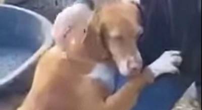 Самое милое видео дня: пес из приюта обнял журналиста и покорил его сердце