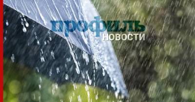 Синоптики прогнозируют дожди в Москве и Петербурге