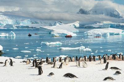 Глобальное потепление: Антарктида поставила абсолютный рекорд