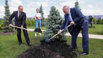 Путин и Лукашенко высадят деревья в Бресте в рамках акции «Сад памяти»