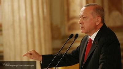 Партия НДК назвала оккупационной политику Эрдогана в Ливии и Сирии
