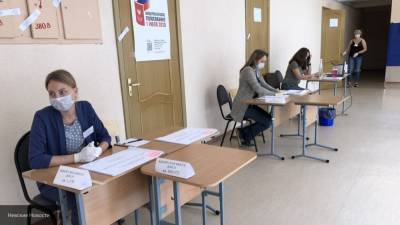 Челябинская ОП выявила множество фейков о голосовании по поправкам