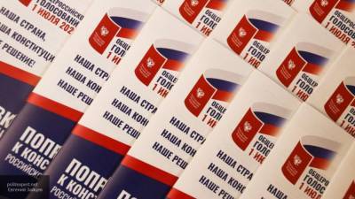 Политолог Мухин счел успешным онлайн-голосование по поправкам к Конституции РФ