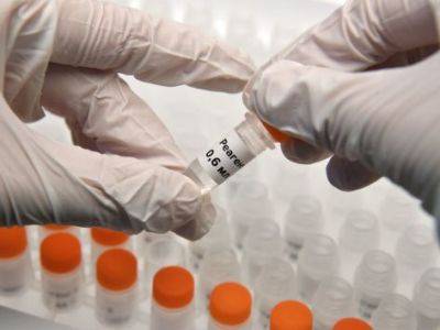 Испания разрабатывает собственную вакцину от коронавируса