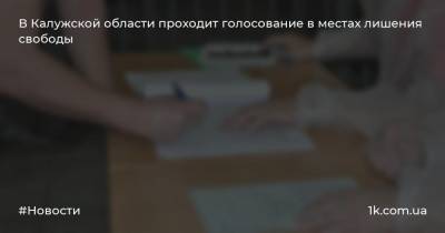 В Калужской области проходит голосование в местах лишения свободы