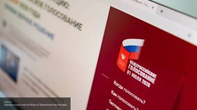 Явка на онлайн-голосование по поправкам к Конституции РФ составила 93,01%
