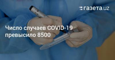 Число случаев COVID-19 превысило 8500