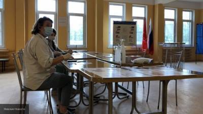 Политолог Дудчак оценил безопасность голосования в период пандемии