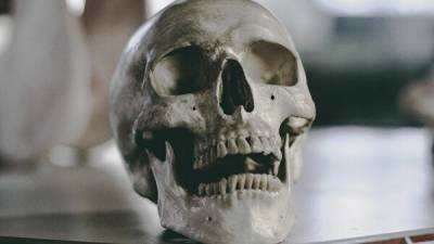 Исследователи восстановили облик человека, убитого 8000 лет назад по время жертвоприношения (фото)