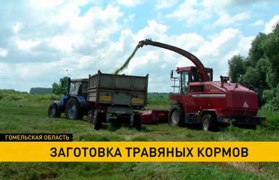 В Гомельской области аграрии приступили к заготовке кормов на будущий год