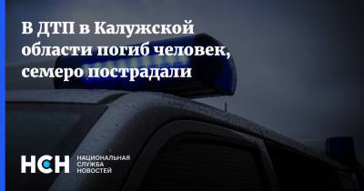 В ДТП в Калужской области погиб человек, семеро пострадали