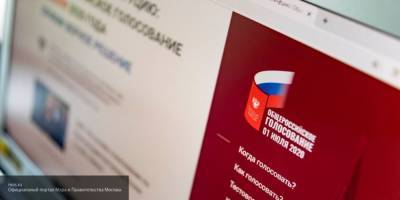Власти Москвы заявили о готовности передать ЦИК наработки по онлайн-голосованию