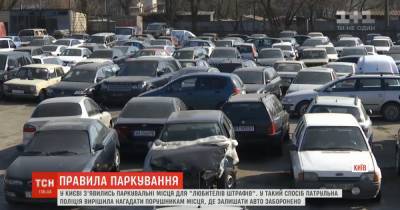 "Место для любителей штрафов": где в Киеве появились яркие разметки для парковки