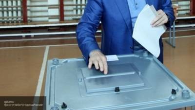 Вброс о попытке пенсионера проголосовать за всю семью развенчали в Новосибирске