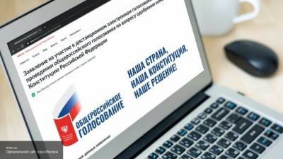 Член ОНФ Плуготаренко назвал систему электронного голосования прозрачной и безопасной