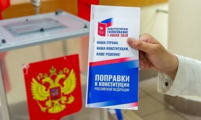 В двух московских районах аннулировали более 600 бюллетеней надомного голосования по поправкам