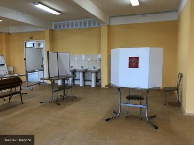 Мэр Южно-Сахалинска проголосовал по поправкам к Конституции