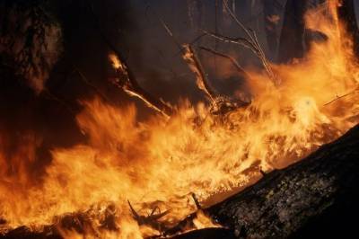Экстренное предупреждение из-за угрозы лесных пожаров объявлено на Колыме