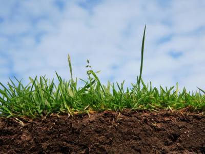 Для качественного орошения украинских полей нужна система дренажирования почвы - аграрий