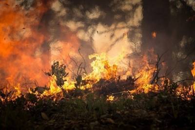 В Оренбуржье продолжает сохраняться высокий класс пожароопасности