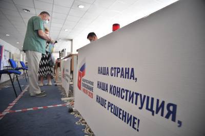 Мосгоризбирком: Голосование по поправкам к Конституции проходит в штатном режиме