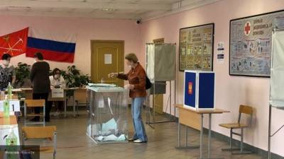 Политолог: было сделано все, чтобы голосование по поправкам к Конституции РФ прошло чисто