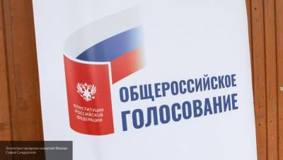 Голосование по поправкам к Конституции РФ проходит в российском посольстве в Вене
